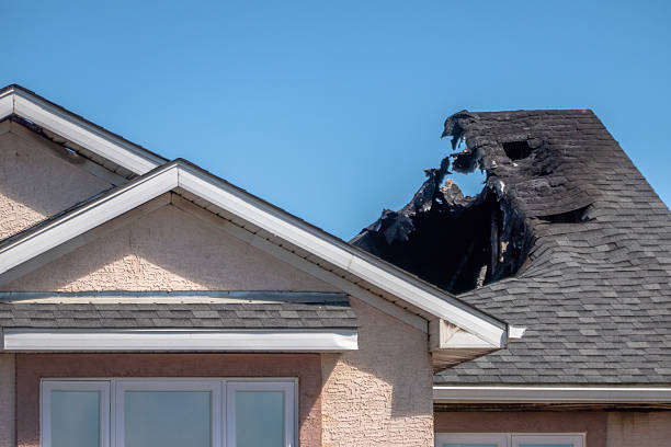 Top rated local Board Up Services specialists in Ashburn, VA